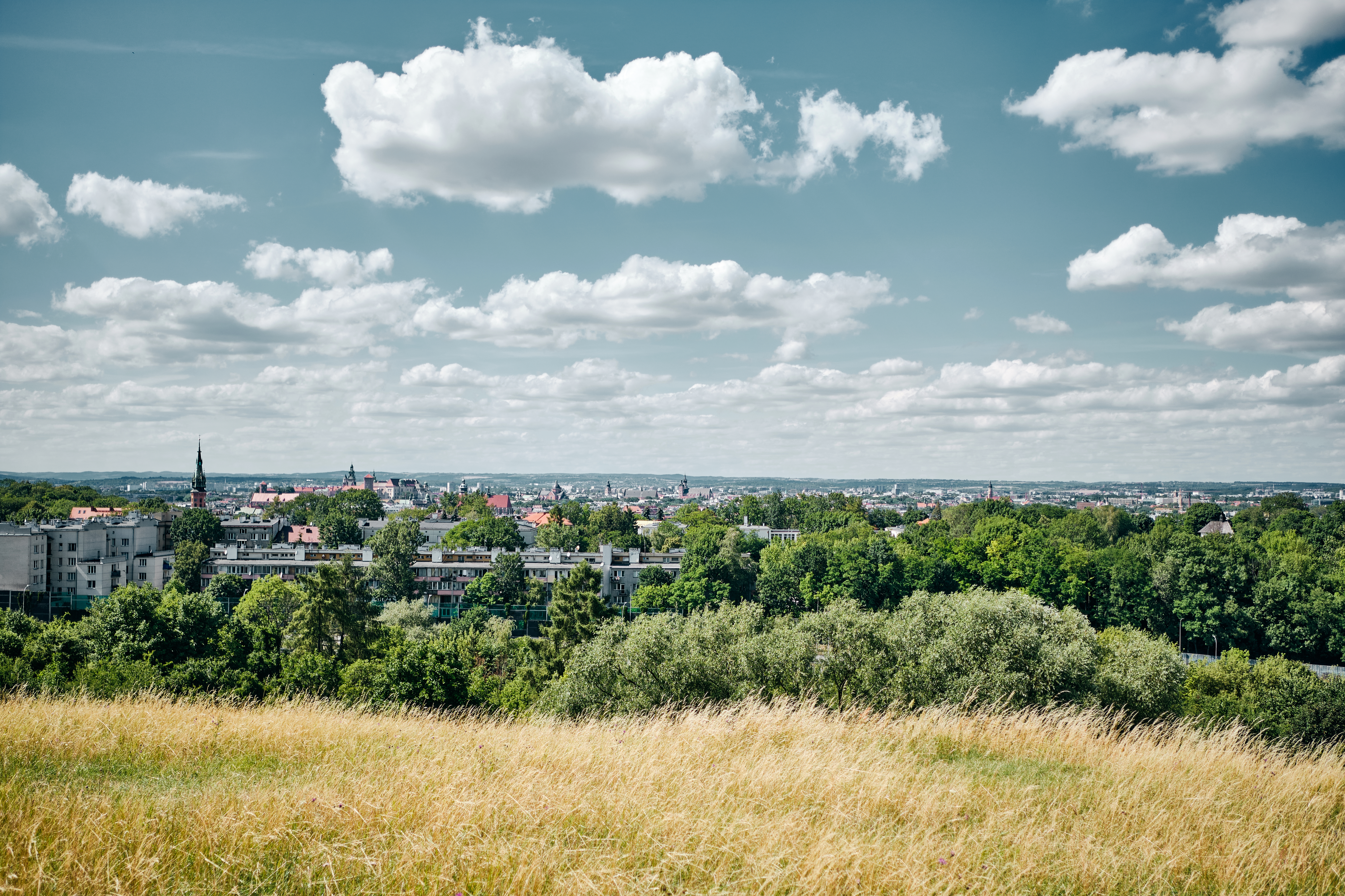 Kraków8