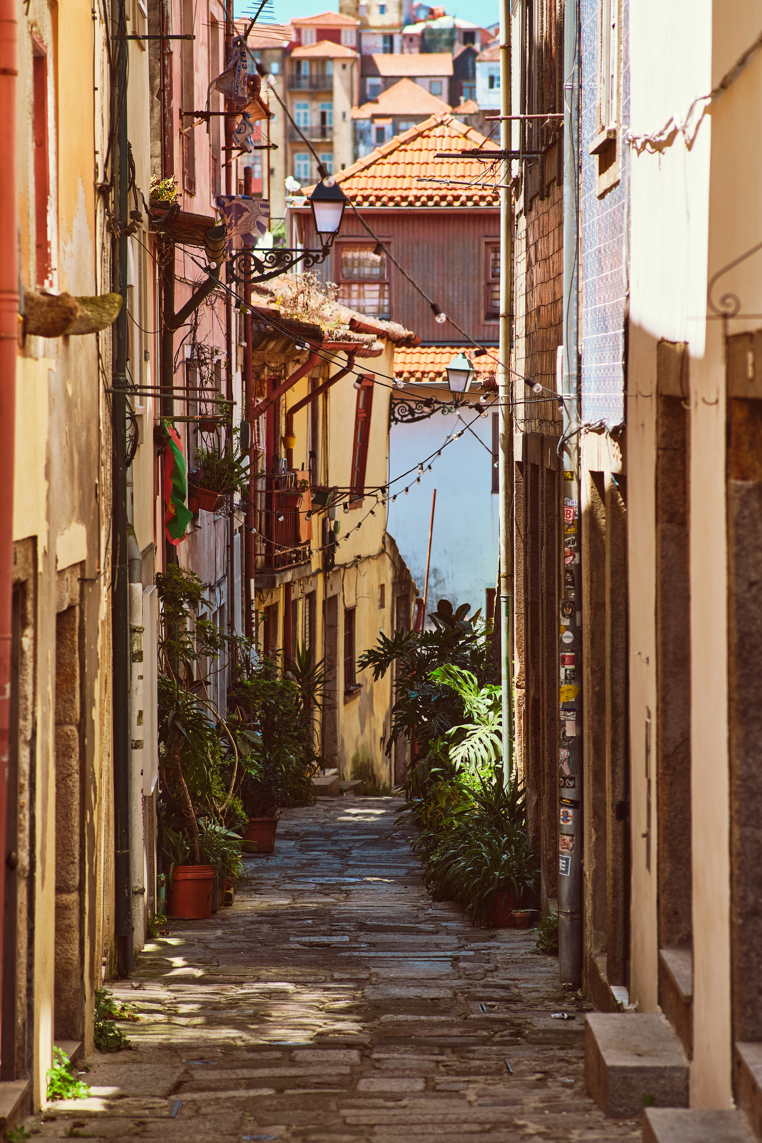 Porto31