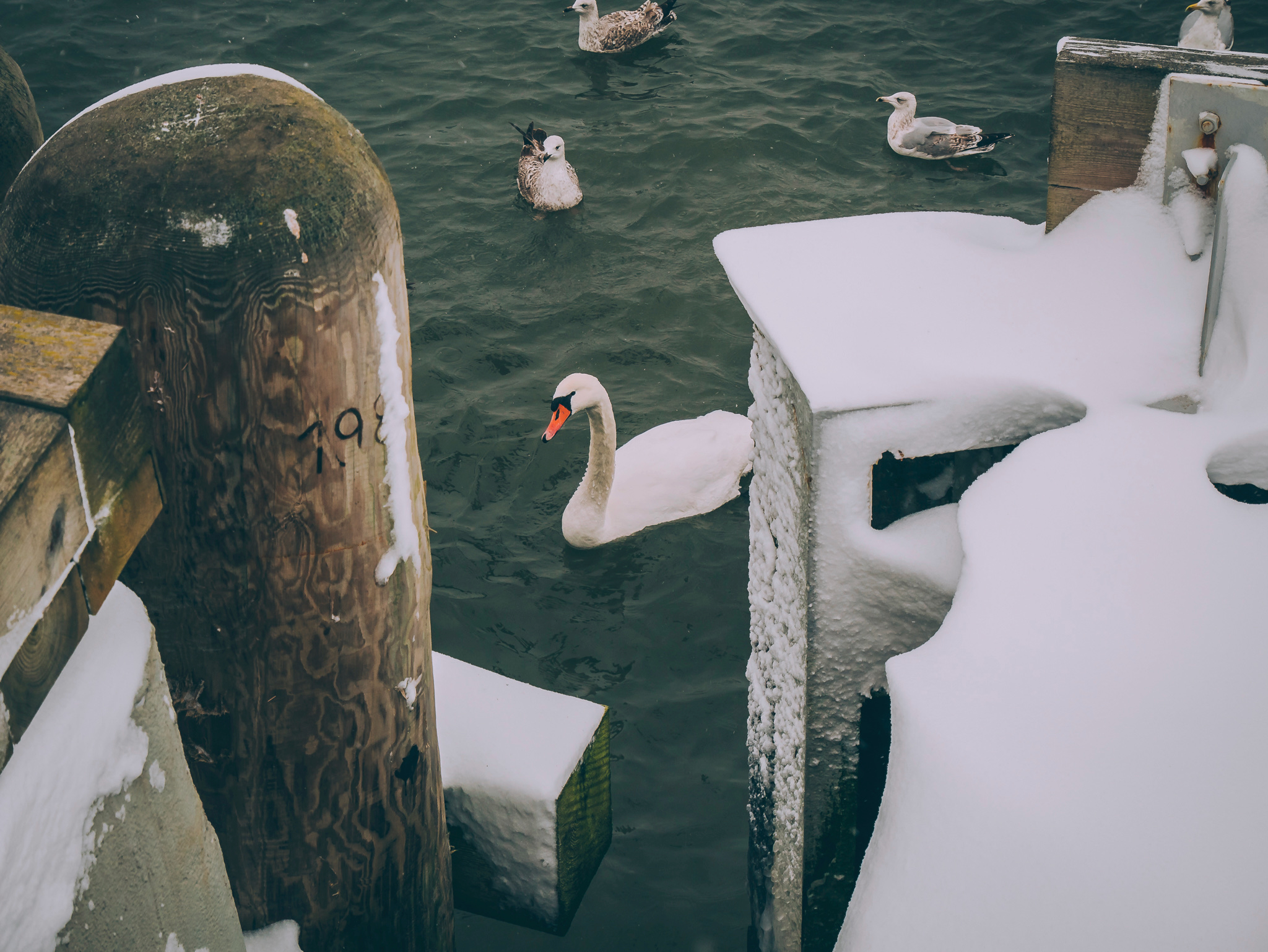 Sopot Gdańsk15