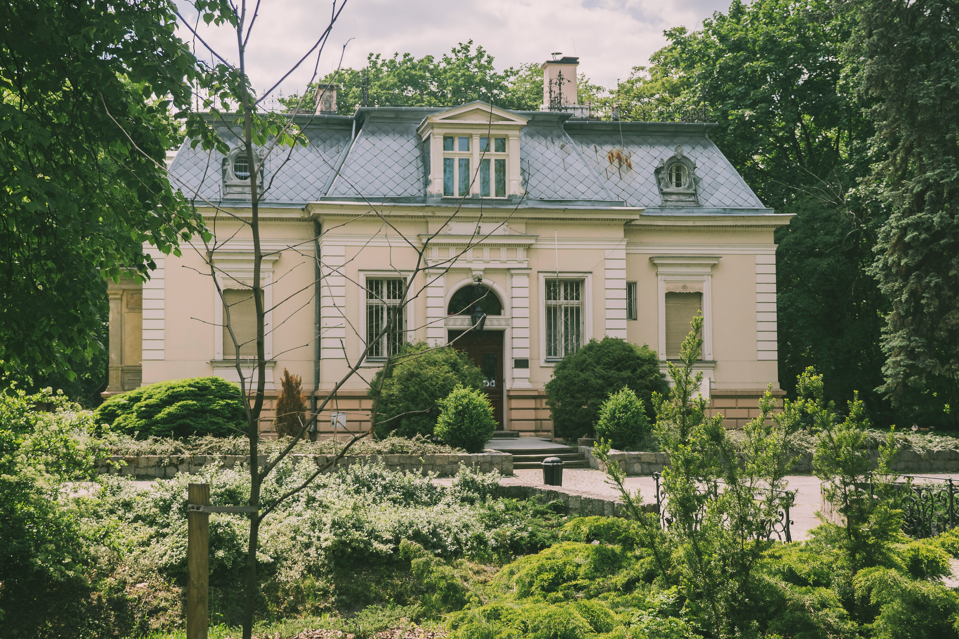 MójŻyrardów21