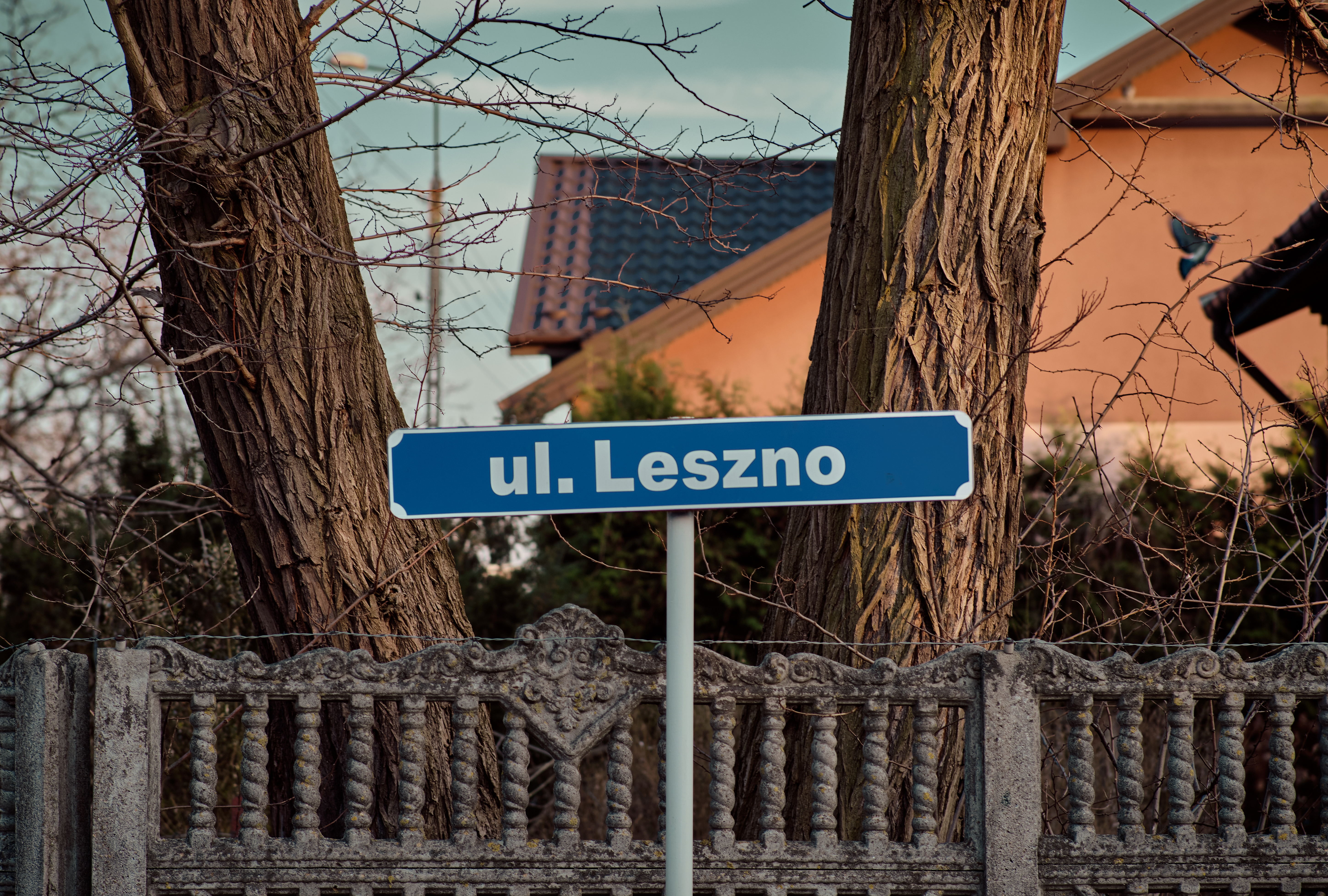 MójŻyrardów34