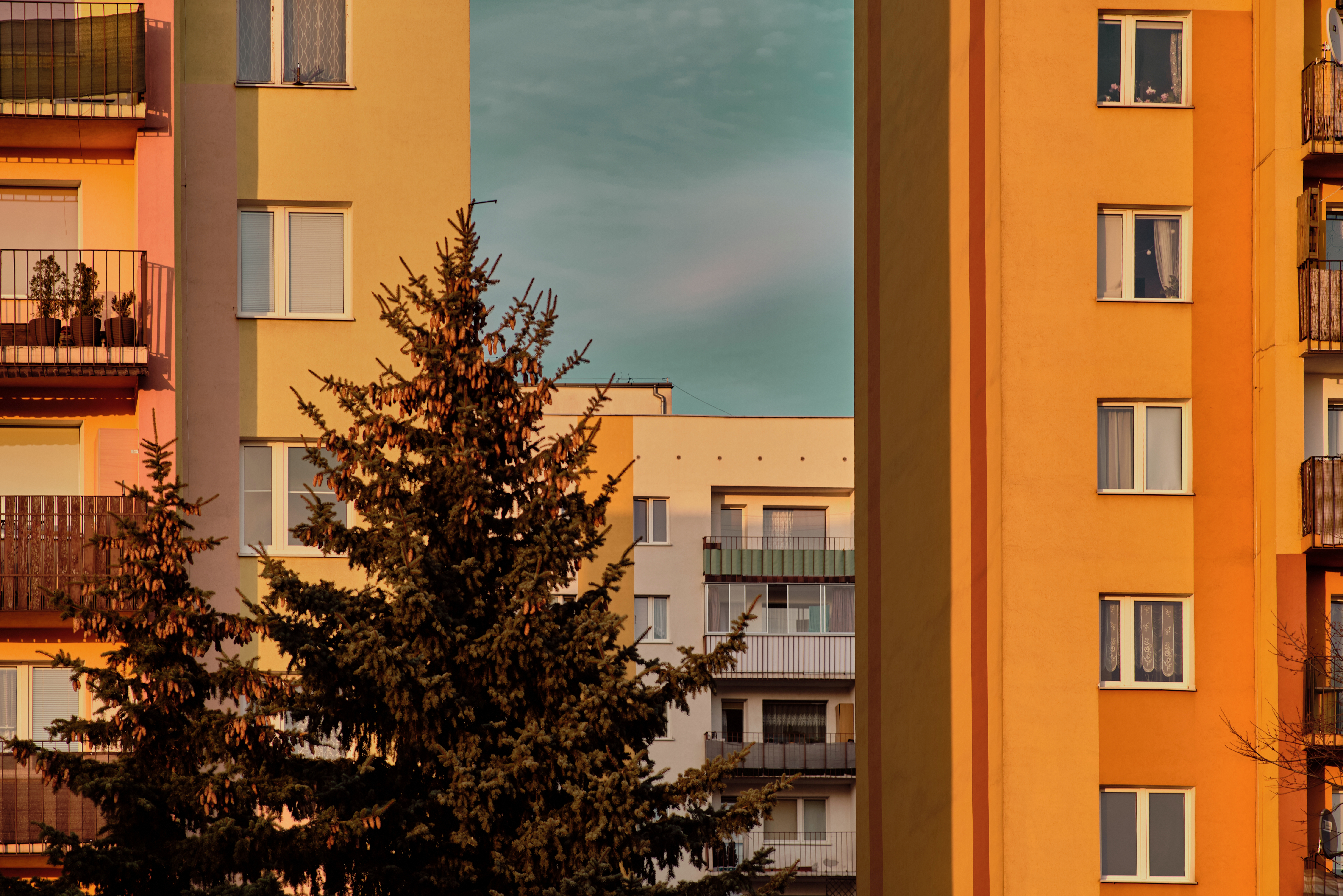 MójŻyrardów36