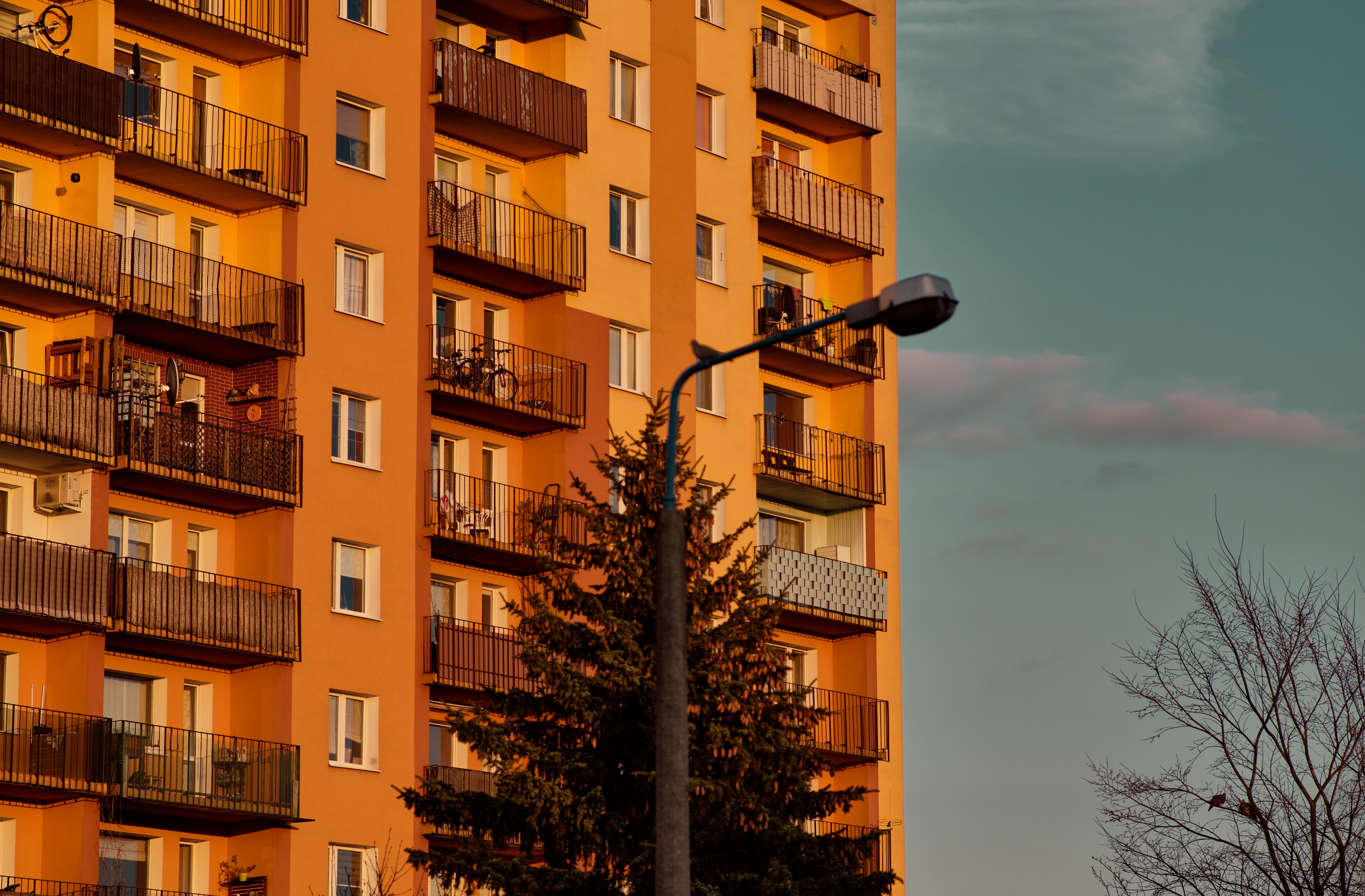 MójŻyrardów37