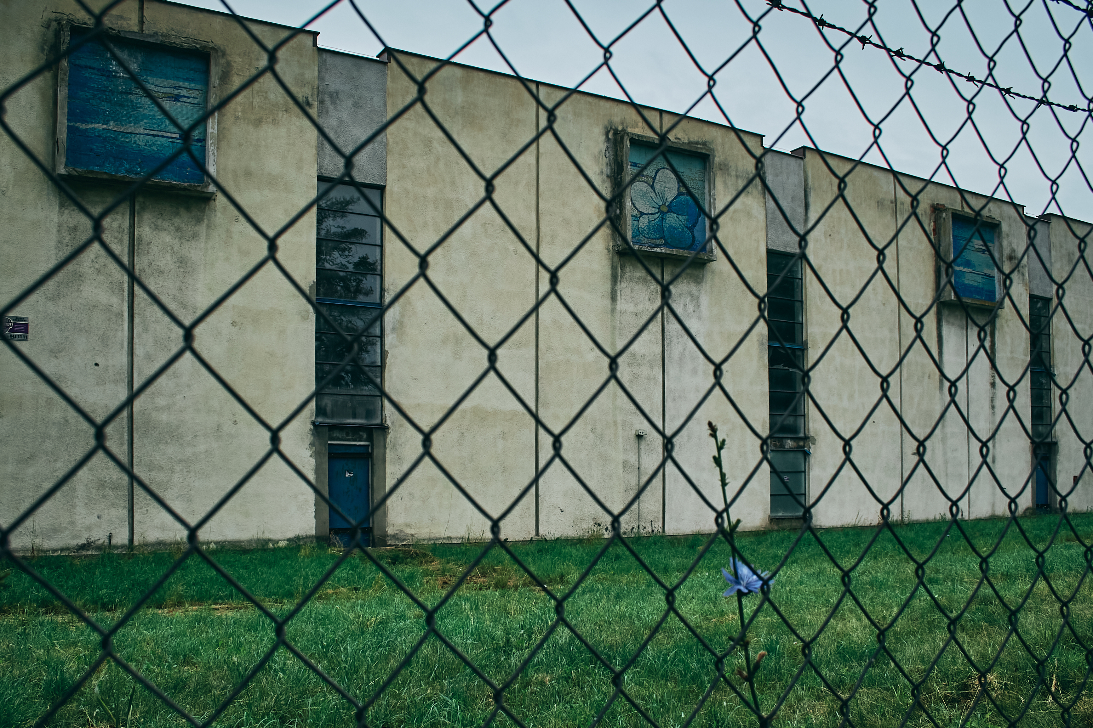 MójŻyrardów8